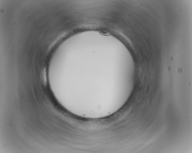 X0000074930020200609291808