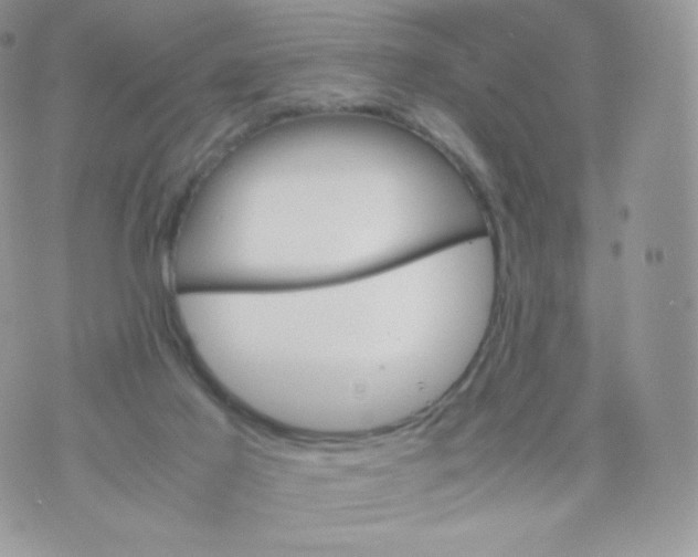 X0000074930021200609291808