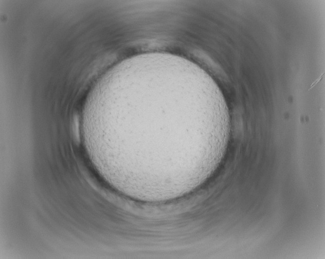 X0000074930022200609291808