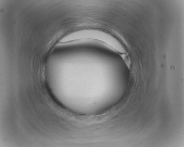 X0000074930023200609291808