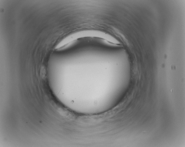 X0000074930025200609291808