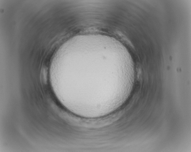 X0000074930026200609291808