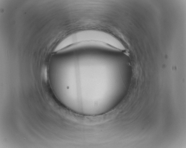 X0000074930027200609291808