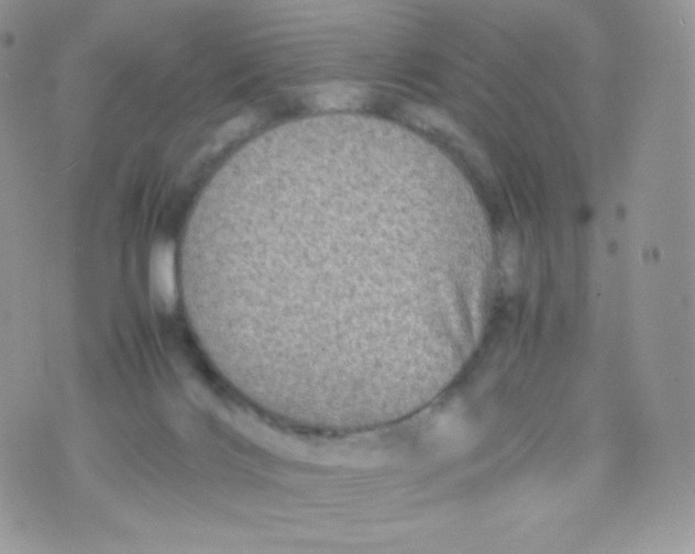 X0000074930028200609291808