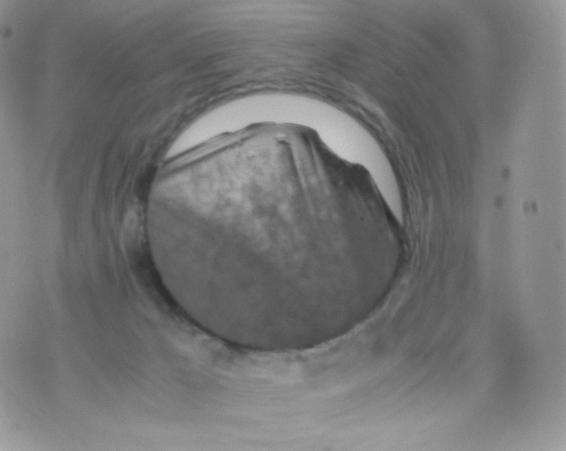 X0000074930029200609291808