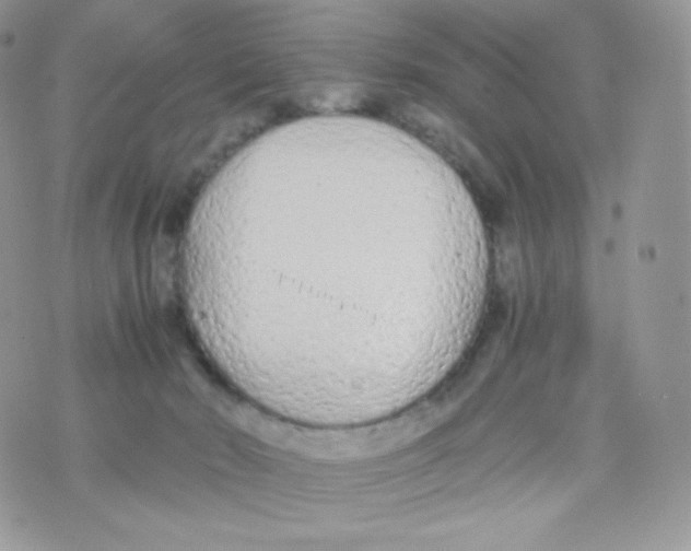 X0000074930030200609291808