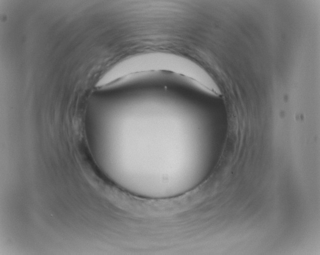 X0000074930031200609291808