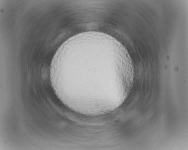 X0000074930032200609291808