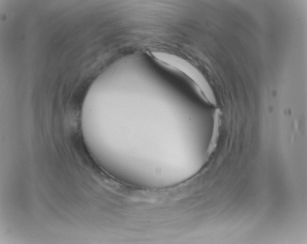 X0000074930033200609291808