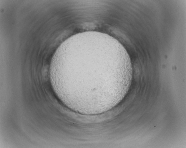 X0000074930034200609291808