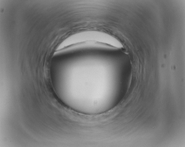 X0000074930035200609291808