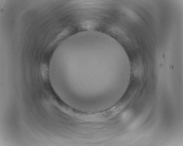 X0000074930036200609291808