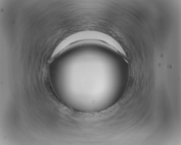 X0000074930037200609291808