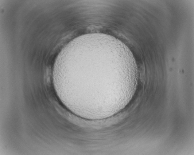 X0000074930038200609291808