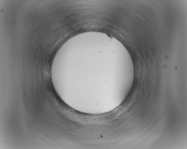 X0000074930040200609291808