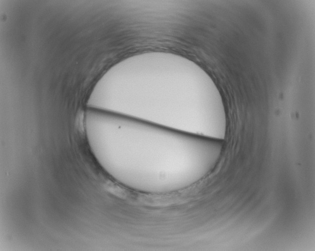 X0000074930041200609291808