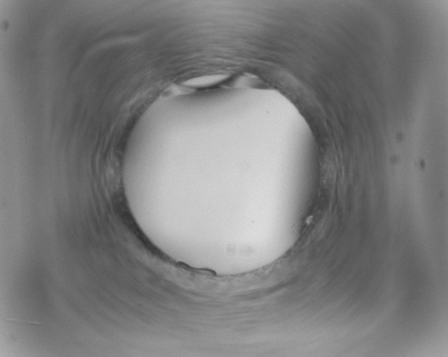 X0000074930043200609291808