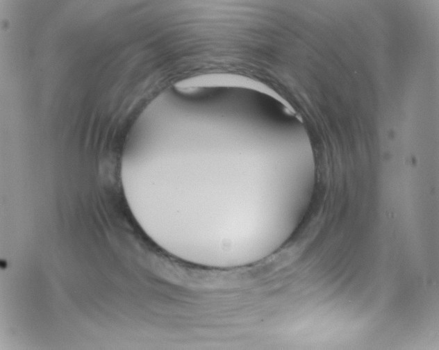 X0000074930044200609291808