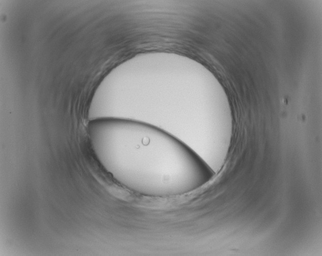 X0000074930045200609291808