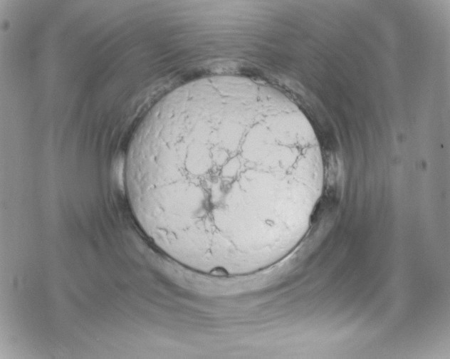 X0000074930047200609291808