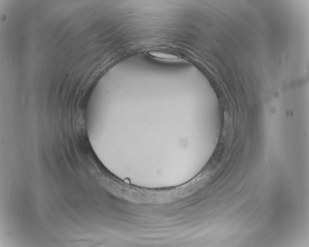 X0000074930048200609291808