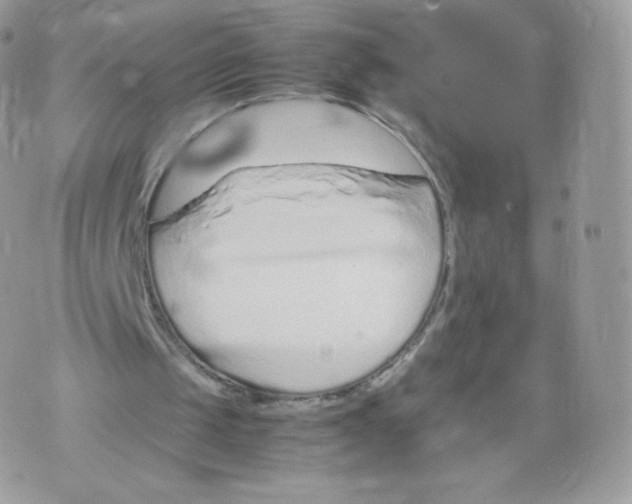 X0000074930049200609291807