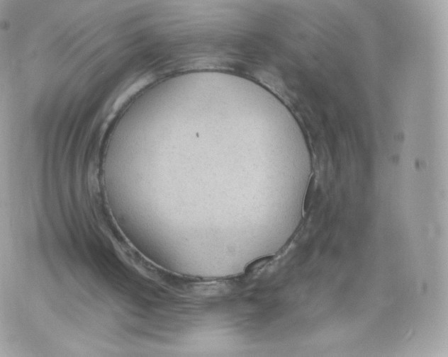 X0000074930050200609291807