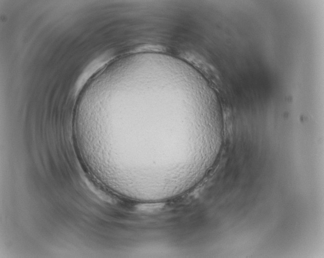 X0000074930051200609291807