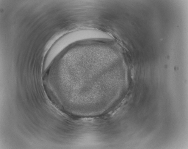 X0000074930052200609291807