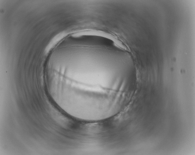 X0000074930054200609291807