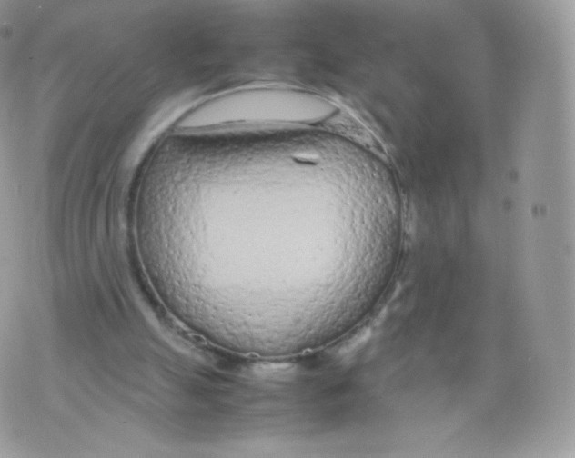 X0000074930055200609291807