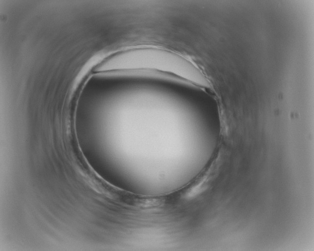 X0000074930056200609291807