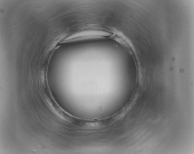 X0000074930057200609291807