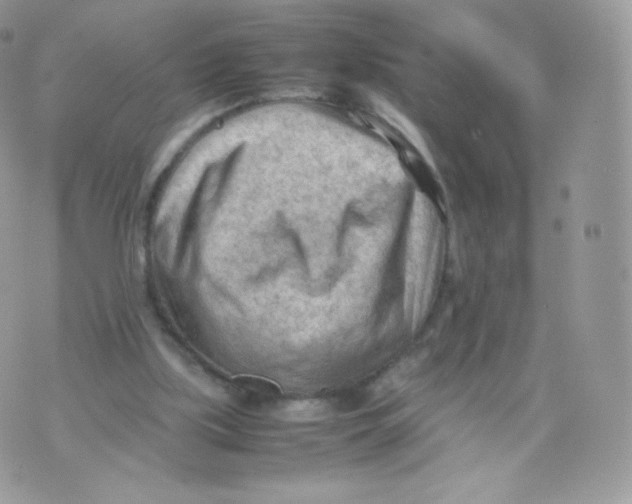 X0000074930059200609291807