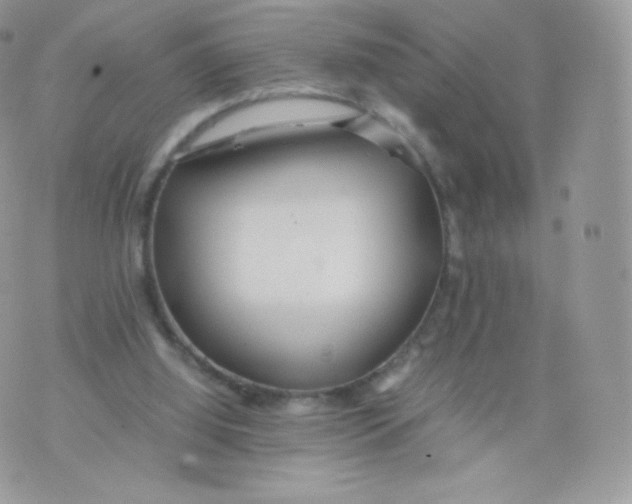 X0000074930060200609291807