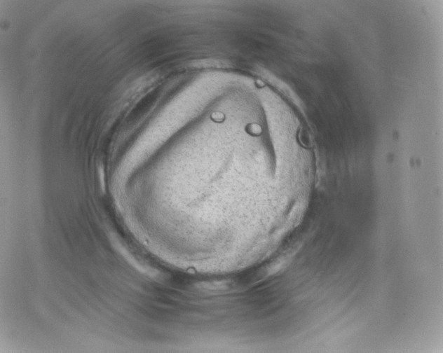 X0000074930061200609291807