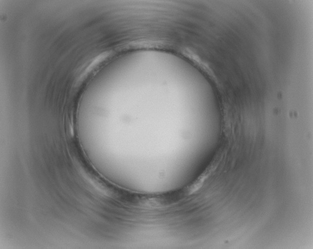 X0000074930062200609291807