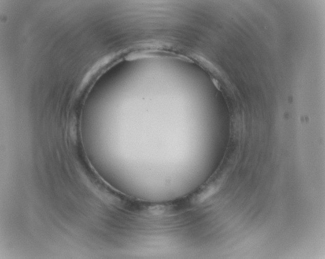 X0000074930064200609291807