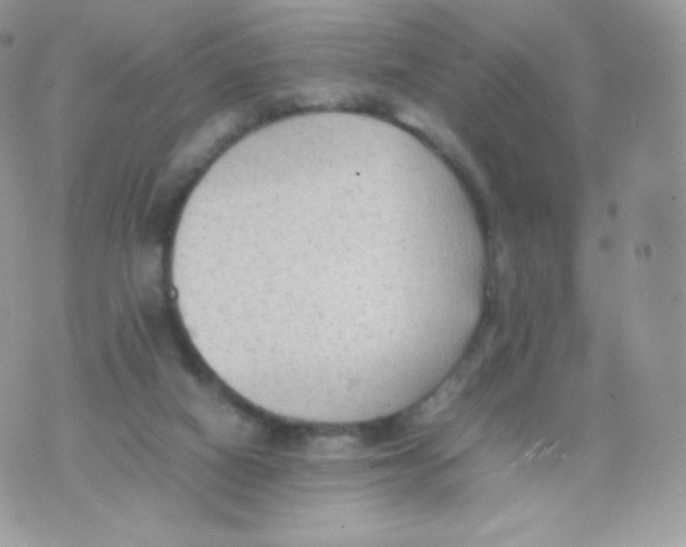 X0000074930066200609291807