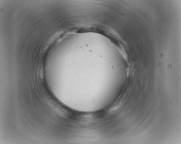 X0000074930068200609291807