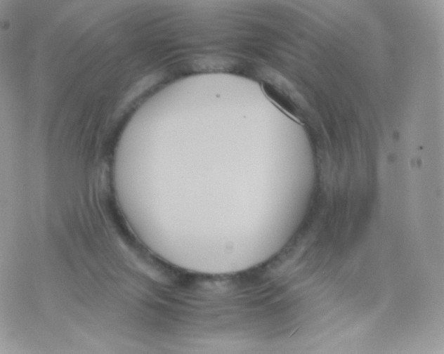 X0000074930071200609291808