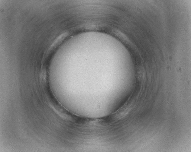 X0000074930072200609291808