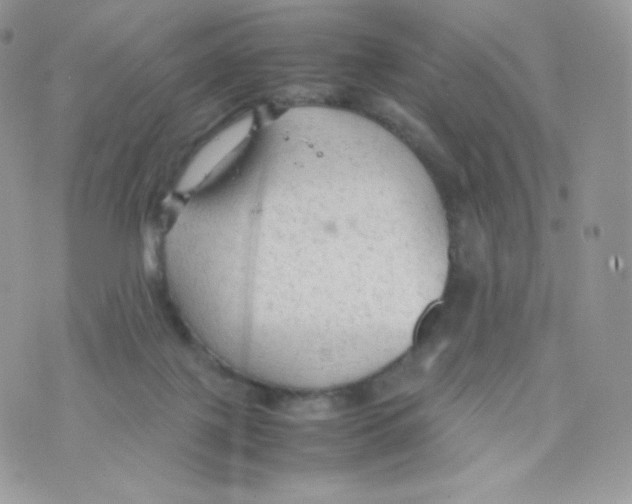 X0000074930075200609291808