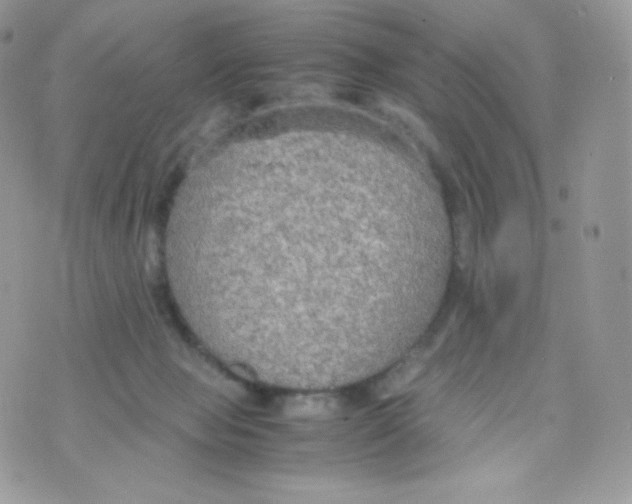 X0000074930077200609291808