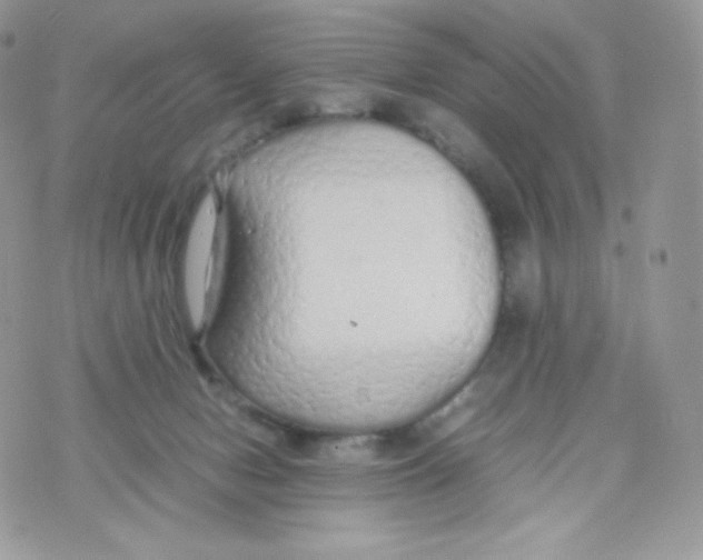 X0000074930078200609291808