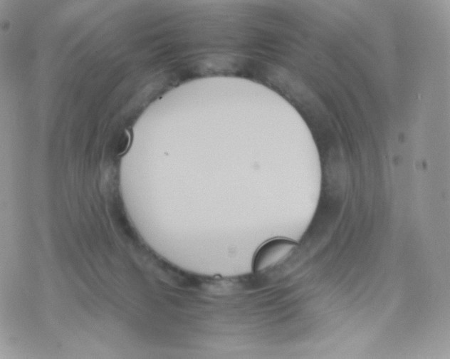 X0000074930079200609291808