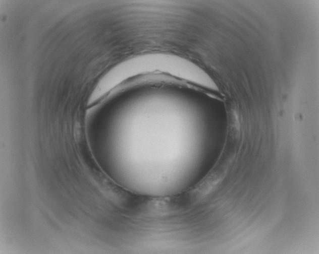 X0000074930080200609291808