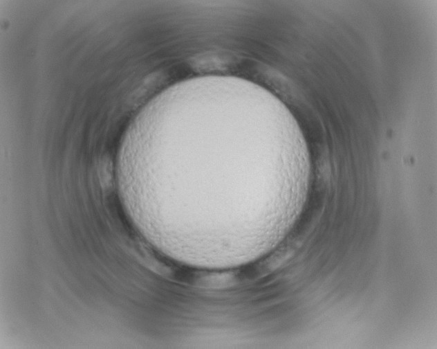 X0000074930081200609291808