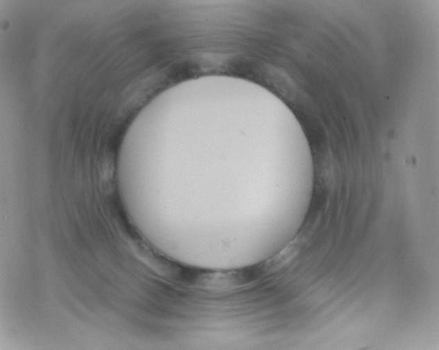 X0000074930082200609291808