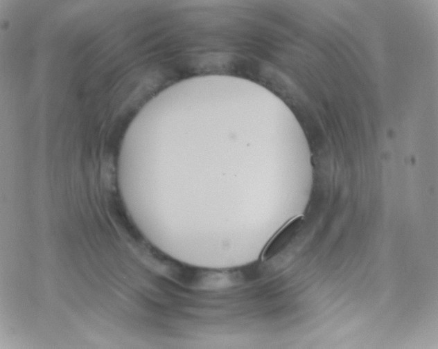 X0000074930083200609291808